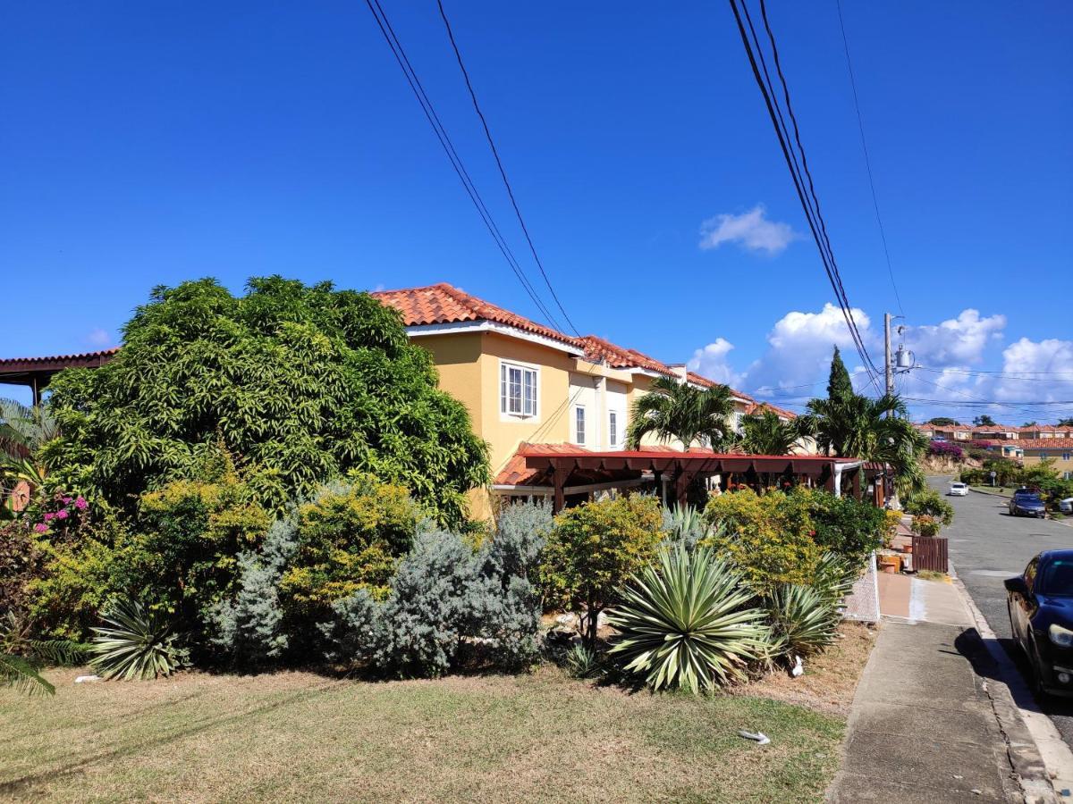 Montego Bay Garden Studio Экстерьер фото
